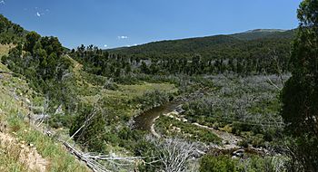 Thredbo River.jpg