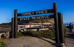 Torrey Pines Park