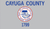 Flag of Cayuga County