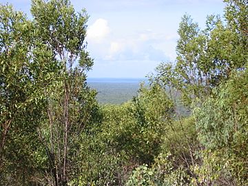 View from Mount Doongal.jpg