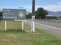 Wikipedia-blenheim