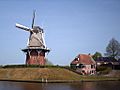 Zeldenrust Molen Dokkum 08