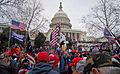 2021 storming of the United States Capitol DSC09254-2 (50820534063) (retouched)