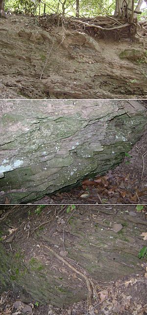 3rdWatchungMountain TowacoFormationCollage.jpg