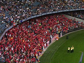 Adelaide United Fans (395036058)