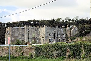 Amroth Castle (geograph 2668806)