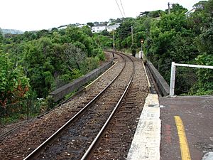 Awarua Street railway station 02