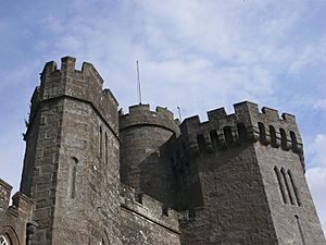 Balloch - Balloch Castle 22