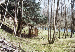 Bessie Bell's grave