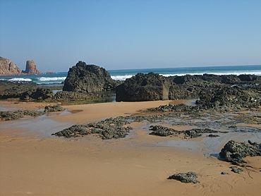 Capewoolbeachrocks.JPG