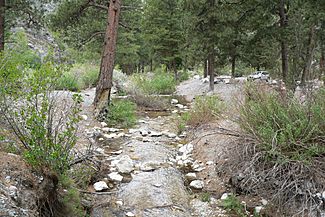 Carpenter Canyon creek 4