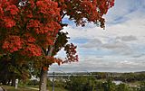 Centennial Bridge fall