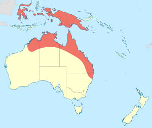 Ceriagrion aeruginosum distribution map.svg