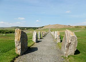 Crawick Multiverse stone rows