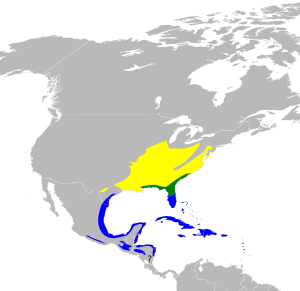 Dendroica dominica map.svg