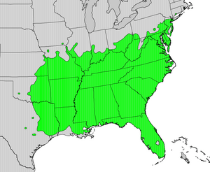 Diospyros virginiana map.png