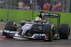 Esteban Gutierrez 2014 Singapore FP1