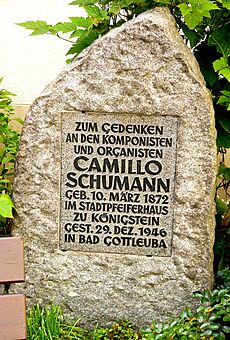 Gedenkstein Camillo Schumann (Königstein)