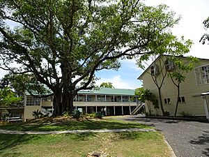 Geebung State School grounds, 2018