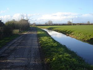 Goldcliff reen