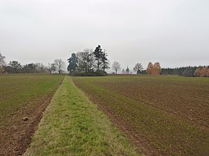 Greifenberg Limburg1