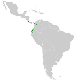 Heliodoxa jacula map.svg