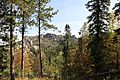 Hike to Black Elk Peak (51475010443)