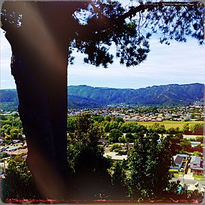 View of the Hutt Valley from Kelson