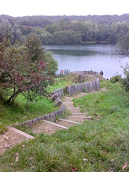 Irwell Sculpture Trail Lookout.jpg