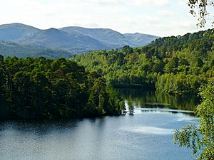 Islands - panoramio (2)