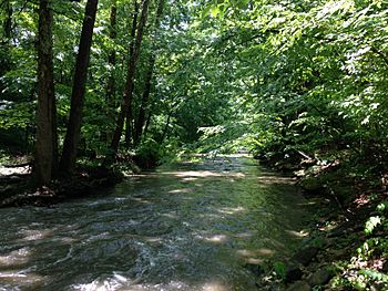 Jackson Creek May 30 2015.JPG