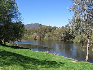 JingellicMurrayRiver