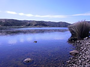 Lake Kohangatera.JPG