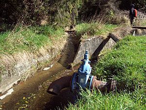 Leith Sullivan's Dam