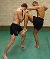 Lethwei-Knee-Elbow