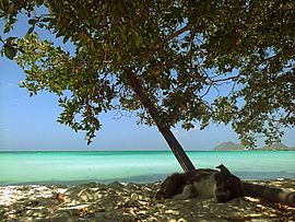 Los roques 01.jpg