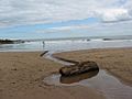 Milldown Burn, Coldingham Beach