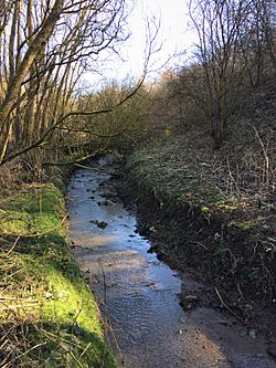 Moston Brook, Manchester.jpg