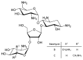 Neomycin B C