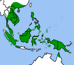 Nepenthes mirabilis distribution.gif