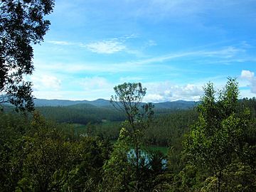 Nilgiri Hills Tamil Nadu.jpg