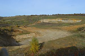 Nine Acres Pit 2.JPG