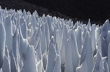 Penitentes Upper Rio Blanco Argentine.jpg