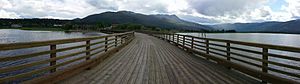 Pier Salmon Arm 2013