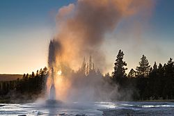 Pink Cone Geyser (15459071001)