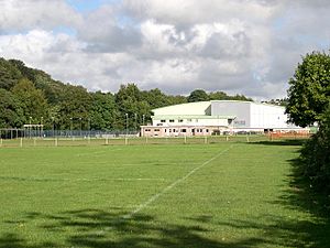 Playing fields at Ivybridge