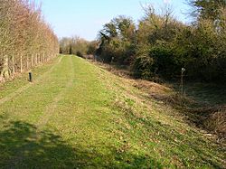 Portsmouth Arundel Canal Woodagte