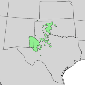 Quercus havardii range map 1.png