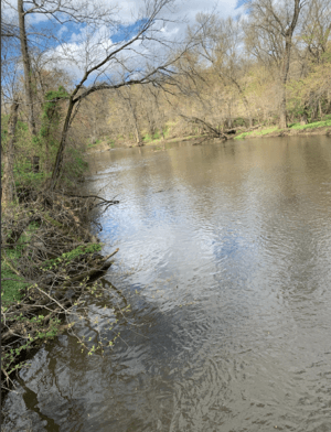 River in Rocky Hill