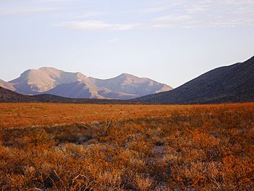 Sunrise Animas Mt.